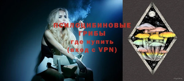 МДПВ Абдулино