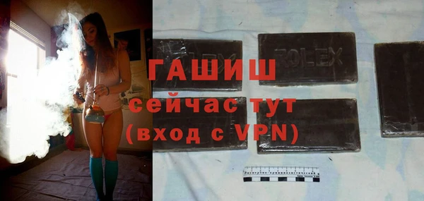 гидра Абаза