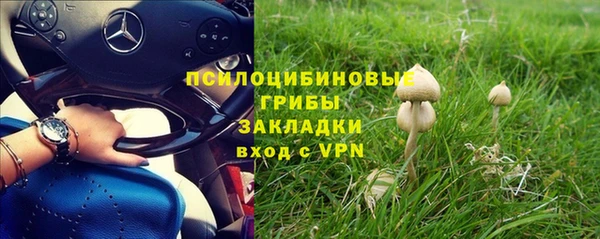гидра Абаза