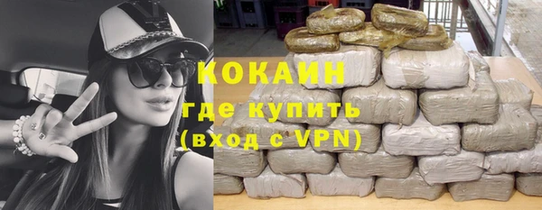 гидра Абаза