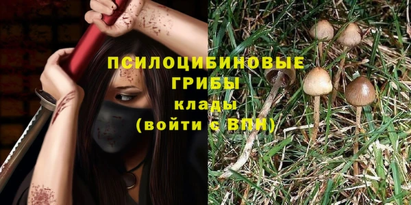 МДПВ Абдулино